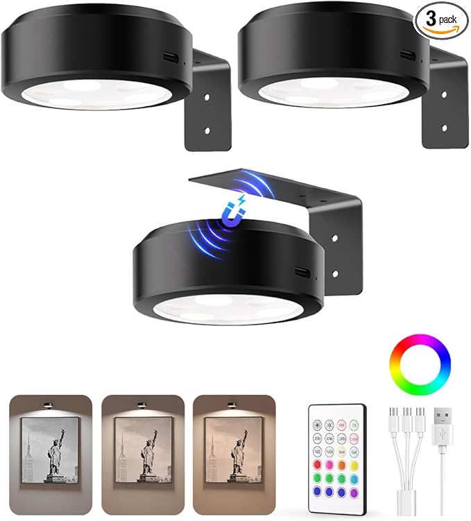 EZVALO Picture Lights for Wall, 2000mAh Rechargeable Battery Magnetic Poster Lights with 3 Color Temps & 12 RGB, Remote Dimmable Timer Painting Light, Wall Decor Light for Art Display, Frame (3 Pack)