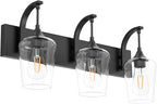Ralbay Matte Black Vanity Light Fixtures 3-Lights Industrial Black Bathroom Vanity Light with Clear Glass Vintage Edison Bathroom Wall Lighting Fixtures