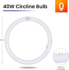 lumenivo FC16T9 40W Circline Fluorescent Bulb Replacement 16 Inches - T9 Bulb with 4-Pin Base (G10Q-4) – 6500K Daylight - 1 Pack