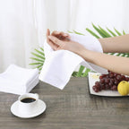 Glynniss Dishcloths Kitchen Highly Absorbent Dish Rags 100% Cotton Dish Cloths for Washing Dishes (Blue White)