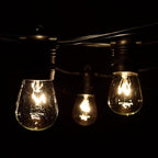 Hometown Evolution, Inc. 100 Foot Commercial Grade Outdoor String Lights (100 Foot 50 Socket, S14 11 Watt Clear Light Bulbs)