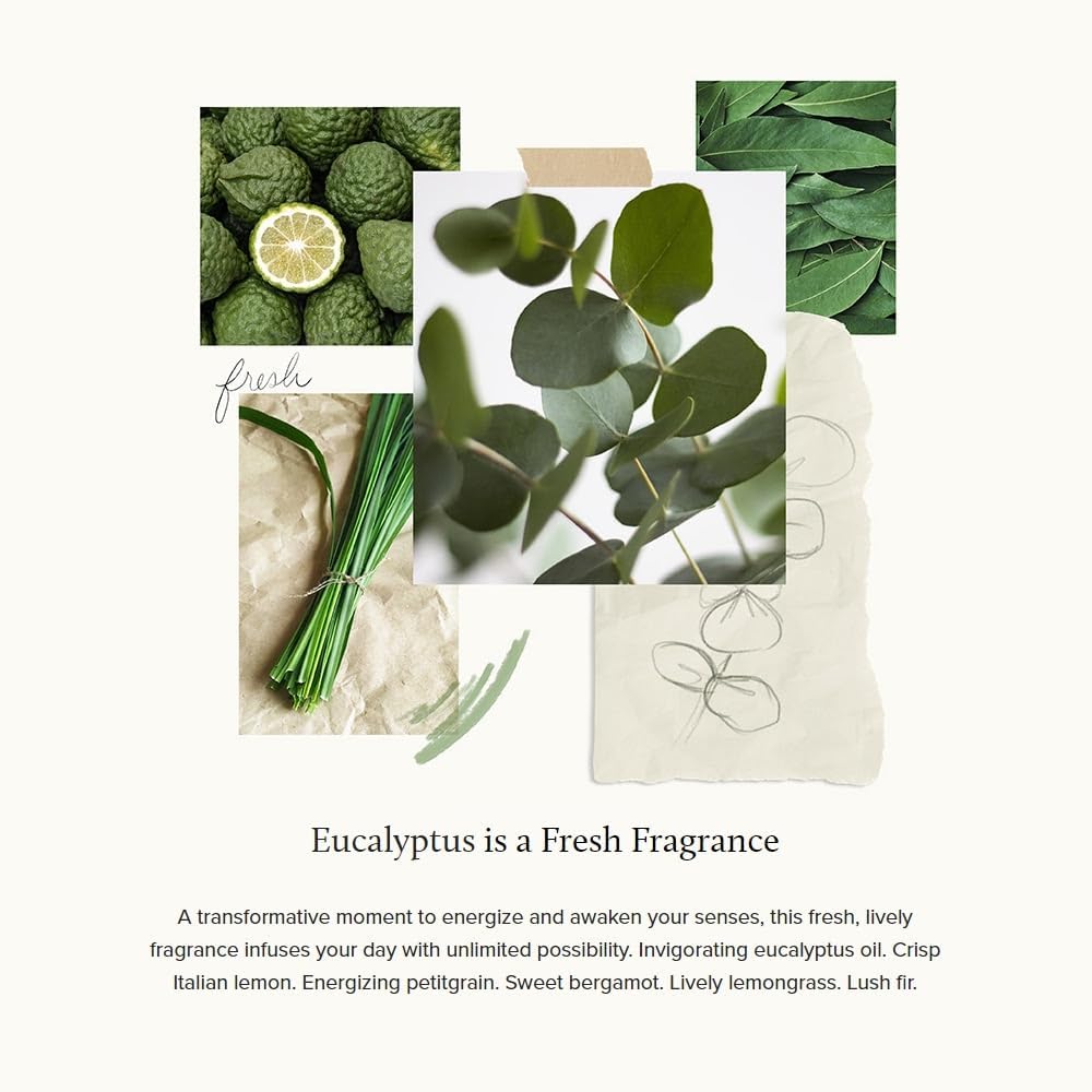 Thymes Eucalyptus Countertop Spray (16.5 fl oz)
