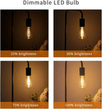 4 PCS Dimmable Vintage LED Edison Bulbs, 6W Equivalent 60 Watt, Warm White 2700K, Antique Flexible Spiral LED Filament Light Bulb, ST58 (ST19), 600 Lumens, E26 Base, Clear Plastic