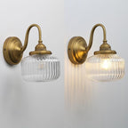 Vintage Gooseneck Wall Sconce 1-Light with Clear Striped Glass Globe Shade Indoor Hardwired Wall Mounted Lamp Fixture
