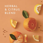 Thymes Countertop Spray - 16.5 Fl Oz - Mandarin Coriander