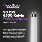 GoodBulb 32W 48 Inch T8 Fluorescent Light Bulb, 6500K Full Spectrum Medium Bi-Pin Base, 3050 Lumens 86 CRI 24000 Life Hours, Instant/Programmed Start (Pack of 25)