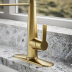 KOHLER K-REC22745-SD-2MB Semi-Professional Kitchen Faucet with Soap Dispenser/Lotion Dispenser, Commercial Kitchen Sink Faucet with Pull-Down Sprayhead, Vibrant Brushed Moderne Brass