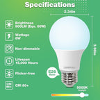 36 Pack A19 LED Light Bulbs 60W Equivalent, Daylight 5000K, 800 Lumens, E26 Base, Non-Dimmable, 8W Energy Efficient Warm LED Bulbs for Home Lighting