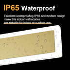 Outdoor Lights 2 Pack,Modern Outdoor Wall Light Fixture Long Strip LED Wall Sconce IP65 Anti Rust Warm Light 3000K Gold Exterior Wall Mount Lights for Entrance, Hallway, Garage, Porch