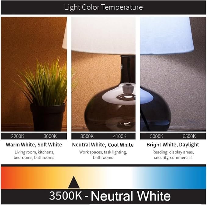 Diodesy- T8 Fluorescent Tube Light Bulb 36 Inch 25W 3500K Neutral White Medium 2-Pin G13 Base 2300 Lumens 3Ft Straight High Performance Replacement Linear Glass Lamp 20000 Hour Lifespan Pack of 10