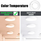 FC12T9/WW 32 Watt and FC8T9/KB 22W Set, 8 inch T9 22W and 12'' 32W Circular Fluorescent Light Bulbs Warm White, Circle Light Bulb 3000K, FC12T8/WW 3500 Lumen G10Q Base