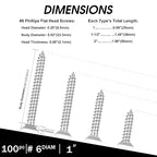White Head 100 PCS #6X1 Stainless Steel Phillips Flat Head Wood Screws,Stainless Steel 18-8 A2(304) Screw,Home Screw Kit by QISHENG