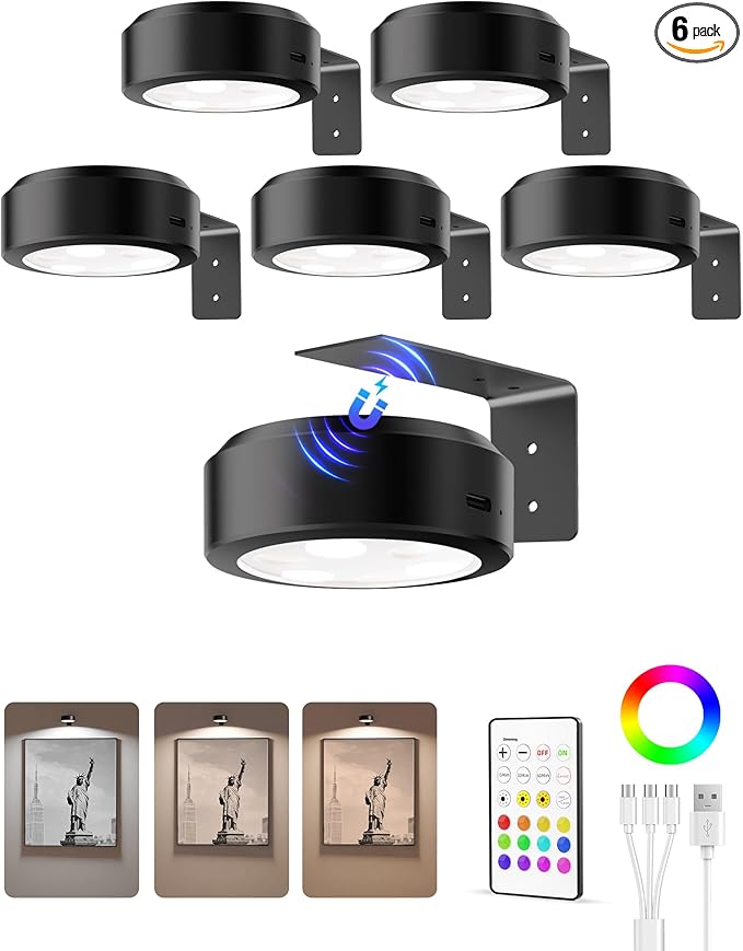 EZVALO Picture Lights for Wall, 2000mAh Rechargeable Battery Magnetic Poster Lights with 3 Color Temps & 12 RGB, Remote Dimmable Timer Painting Light, Wall Decor Light for Art Display, Frame (6 Pack)