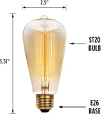 Westinghouse 0413200 60 Watt ST20 Amber Timeless Vintage Inspired Bulb with Medium Base (Pack of 2)