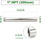TAISHER 1PCS 304 Stainless Steel Pipe Fittings, 1" NPT Male Threaded, 12" Length Weld Nipple Cast Pipe