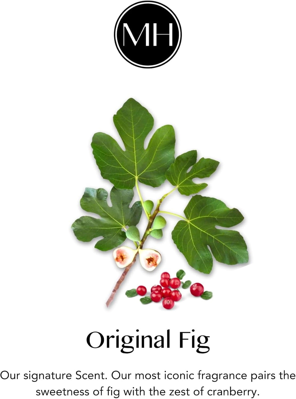 Murchison-Hume Powerful, Plant-based, Multi-Surface Bathroom Cleaner Spray for Basins, Tubs, Tiles, and Toilets. Eliminates Odor, 17oz, Original Fig Scent