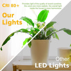 2 Inch LED Downlight, Recessed Lighting Dimmable Ceiling Light, 3W, 4000K Natural White, CRI80 with LED Driver(35W Halogen Equivalent), 1 Pack