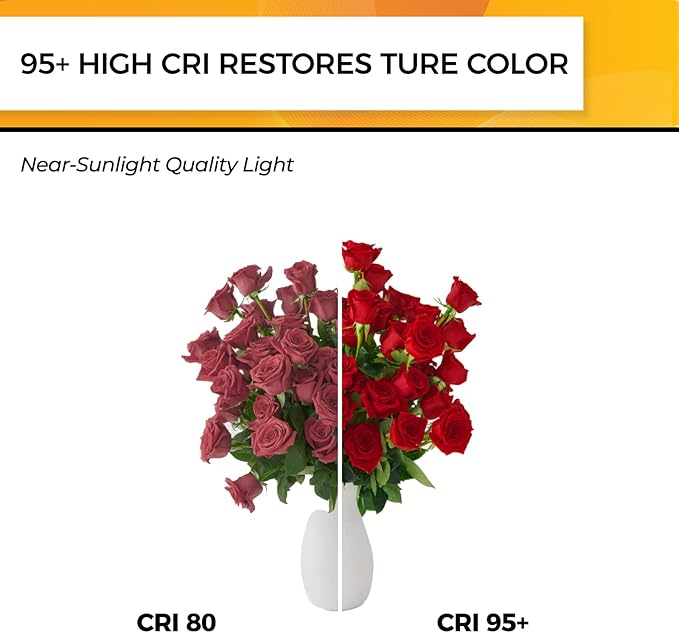 Hizashi LED Edison Bulbs Dimmable, E26 LED Bulb 60 watt, 2700K Soft Warm White, ST19 Vintage Light Bulbs, 95+CRI, UL Listed, 700LM 6W, Clear Glass, Pack of 6