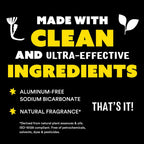 Molly's Suds Sink and All Purpose SCRUB | Gently Removes Stains, Scrubs Away Grease & Gime, Buffs out Scratches | Plant and Mineral Based | 2 Pack, Lavender Scent