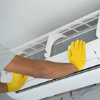 Patelai 3 Pairs Microfiber Plant Dusting Gloves Leaf Cleaning Gloves for Indoor Plants, Blinds, Furniture, House(Large,Black, Navy, Yellow)