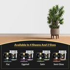 EVOLVE Signature Paint & Primer: Luxury Paint & Primer for Indoor & Outdoor Surfaces, Minimal Odor, Satin Sheen (Fog Gray, 5 Gallon)