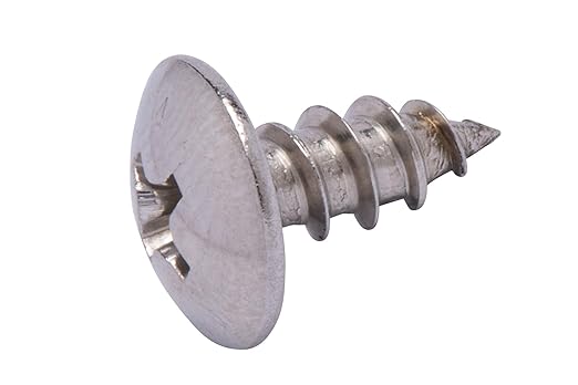 Bolt Dropper Stainless Truss Head Phillips Wood Screw (100 Piece) 18-8 (304) Stainless Steel Screws - ssd Screws