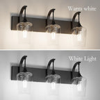 Ralbay Matte Black Vanity Light Fixtures 3-Lights Industrial Black Bathroom Vanity Light with Clear Glass Vintage Edison Bathroom Wall Lighting Fixtures