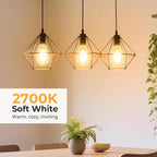 Dimmable LED Edison Bulbs, 2700K Warm White, 6W Equivalent to 60 watt E26 LED Bulb, ST58 Vintage Light Bulbs, 600LM, 90+ CRI, E26 Base, Clear Glass, 10 Pack