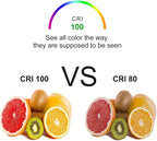 Vinaco MR16 Halogen Bulb 20W 12V, 6 Pack MR16 Bulb Dimmable, Long Lasting MR16 GU5.3 20W Bulb, 2800K Warm White with GU5.3 Base for Landscape, Track Lights, Fiber Optics, Desk Lamps