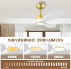 52" Ceiling Fans with Lights, Low Profile Modern Ceiling Fan with Remote Control, DC Motor, Reversible, 3CCT, Dimmable, Noiseless, Indoor Outdoor Ceiling Fans for Bedroom, Living Room, Dining Room