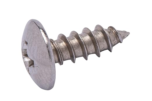 No. 6 x 1/2" Stainless Truss Head Phillips Wood Screw, (100 pc), 18-8 (304) Stainless Steel Sheet Metal Screws, Type A Point, Plain Finish by Bolt Dropper, ssd Screws