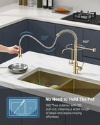 APPASO Gold Kitchen Faucet with Water Filter, Brushed Gold Kitchen Sink Faucet, 3 in 1 Kitchen Faucet (Without Water Filtration Device)
