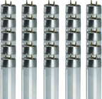 GoodBulb 48 Inch T8 Fluorescent Light Bulb 5000K Daylight White Color Medium Bi-Pin Base 3050 Lumens 86 CRI 24000 Life Hours Pack of 25 Bulbs