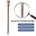 96 PCS Deck Screws Assortment Kit, Reverse Thread Composite Deck Screws Torx Drive Rust Resistant Epoxy Coated Exterior Wood Screw #8 1-5/8" 2" #10 2-1/2" 3", Tan