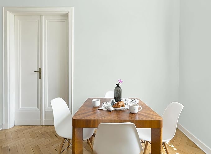 EVOLVE All Purpose Whites: Latex Flat Interior Paint for Walls & Ceilings, Shades of White, Quick Dry, Excellent Touch-Up & Coverage, Eco-Friendly (Cool White)