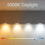 5 Inch Edison Bulb, 5000K Daylight White E26 Led Bulb 6W Dimmable, 800LM T10 T9 Clear Glass Tubular Light Bulbs, AC 120V Equal 80 Watt Bulbs for Chandelier Pendant Wall Light - 4Pack