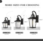 Emliviar Outdoor Porch Light, Modern Outside Wall Light Fixture for House Garage, Clear Glass in Black Finish, 12" Height, XE219B BK