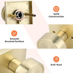 Haidms Gold Passage Door Knobs Interior, Zinc Alloy Brushed Gold Closet Door Knobs, Heavy Duty Round Brushed Brass Doorknobs for Hall Closet,Hallway(2 Pack)