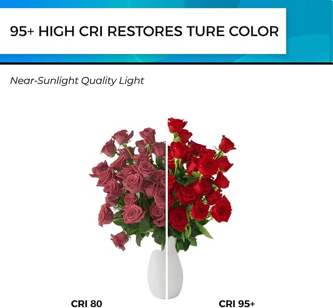 Hizashi Vintage LED Edison Bulb Dimmable, 6W Equivalent 60W, 4000k Neutral White, 700LM, E26 Base Light Bulbs, High CRI 95+ Eye Protection, Clear Glass, Pack of 24