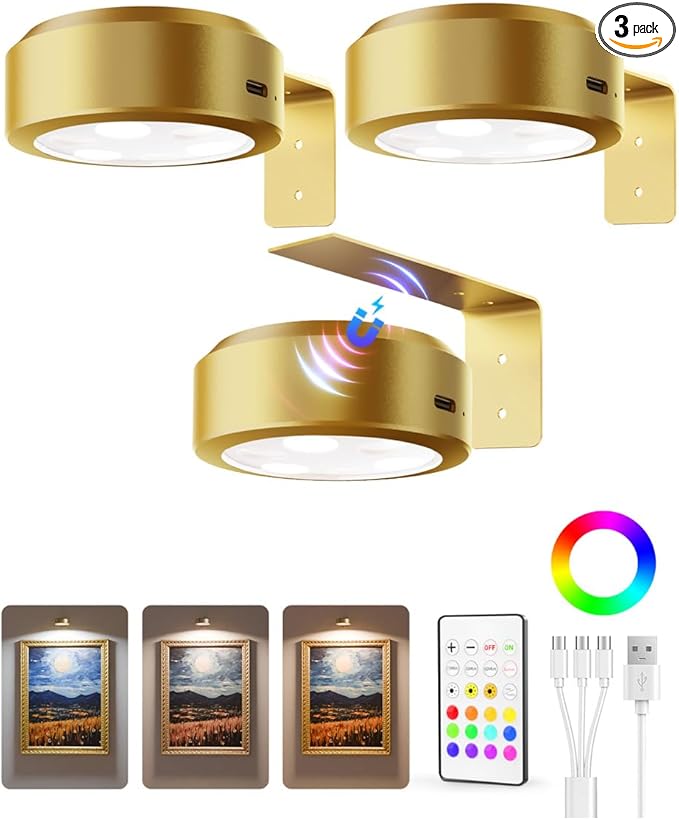 EZVALO Picture Lights for Wall, 2000mAh Rechargeable Battery Magnetic Poster Lights with 3 Color Temps & 12 RGB, Remote Dimmable Timer Painting Light, Wall Decor Light for Art Display, Frame (3 Pack)