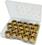 20PCS 1/4" NPT Brass Male Pipe Plug Fitting Hex Counter Sunk Pipe Plug (1/4" NPT)