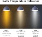 6 Pack T32 /T12 Dimmable Tubular LED Bulb 4W Equals 40W Warm Amber Glass E26 Base Edison Bulb for Chandeliers, Wall sconces, Table Lamps, cafes Indoor Lighting fixtures.