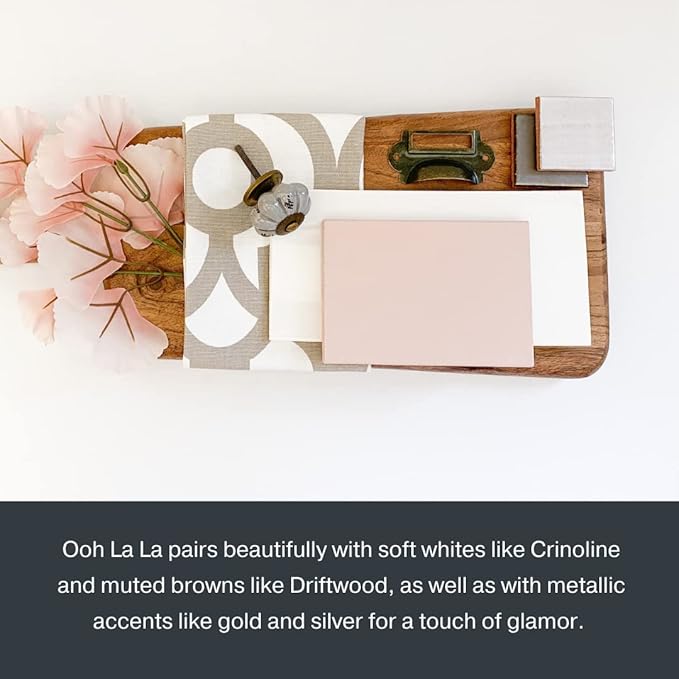 Country Chic All-in-One Chalk Paint for Furniture, Cabinets, Home Decor, Eco-Friendly, Matte Finish, Built-In Primer & Top Coat for Wood, Metal - Ooh La La (Light Pink) - 4 oz (118 ml)