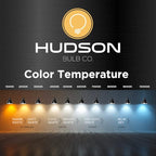 Hudson Vintage Incandescent Edison Decorative Light Bulbs 4-Pack - 60W, 2100K Dimmable, E26/E27 ST64 Warm Antique Squirrel Filament Amber for Indoor Outdoor - Lightbulb - Outdoor Light