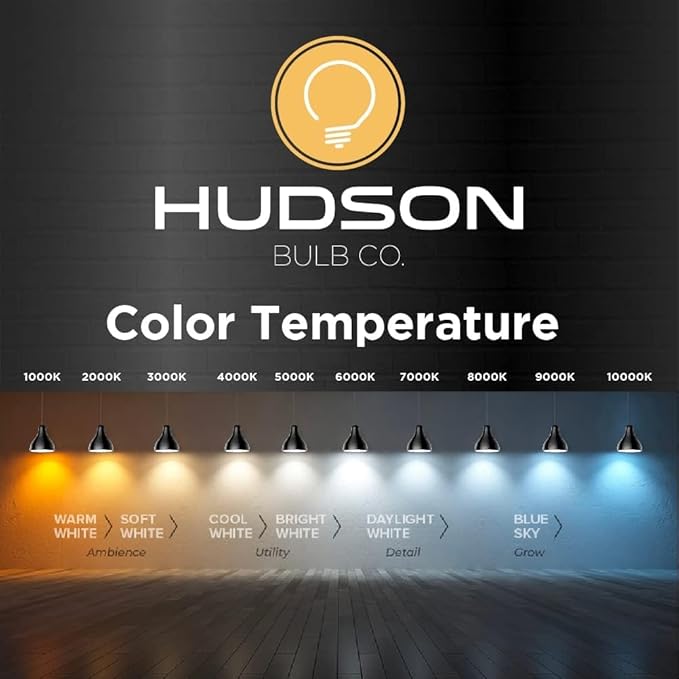 HUDSON BULB CO. Vintage Edison Incandescent 60W 12-Pack Light Bulbs - Antique ST64 Dimmable 2100K Warm Decorative Squirrel Filament - E26/E27 Base for Indoor Outdoor - Lightbulb - Outdoor Light