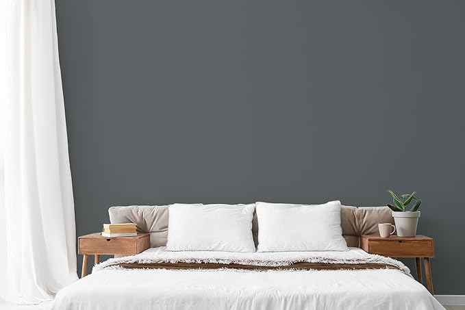 EVOLVE Paint & Primer: Environment-friendly, Low Sheen with One-coat Coverage for Interior & Exterior surfaces (Seal Gray, 1-Gallon)