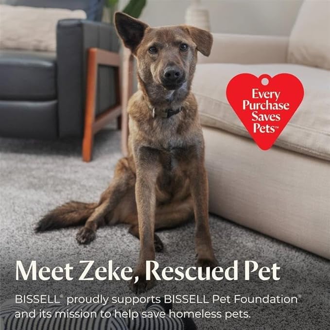 BISSELL® CrossWave® HydroSteam™ Deluxe Wet Dry Vac, Multi-Purpose Vacuum, Wash, and Steam, Formula Included, Green, 3515G