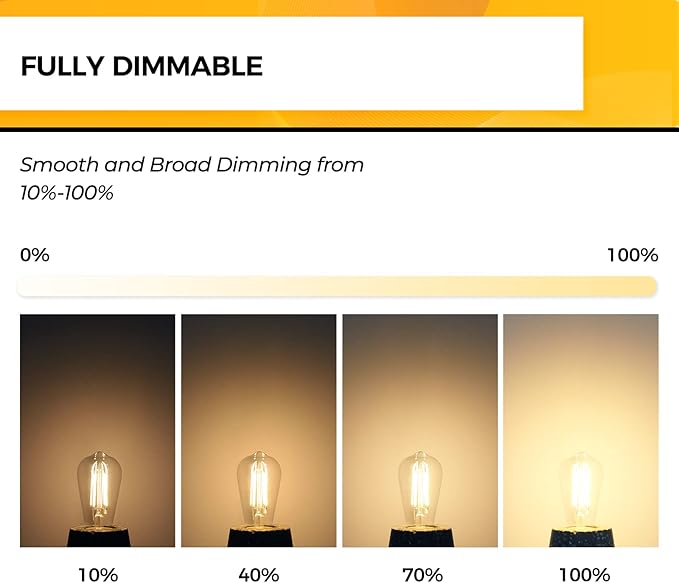 Hizashi Vintage Edison Bulb Dimmable, 6W Equivalent 60W, E26 Base LED Light Bulb, 2700k Warm White, 700LM, High CRI 95+ Eye Protection, Clear Glass, Pack of 24