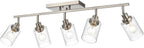 5-Light Track Lighting Kit, Bathroom Vanity Light Ceiling Spotlight in Brushed Nickel for Kitchen Shop, Seeded Glass Shades