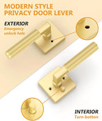 Asidrama 6 Pack Gold Privacy Door Handles, Door Lever with Door Knobs Indoor for Bedroom or Bathroom, Heavy Duty Door Handles Interior with Locks for Left Right Sided Doors 098AA
